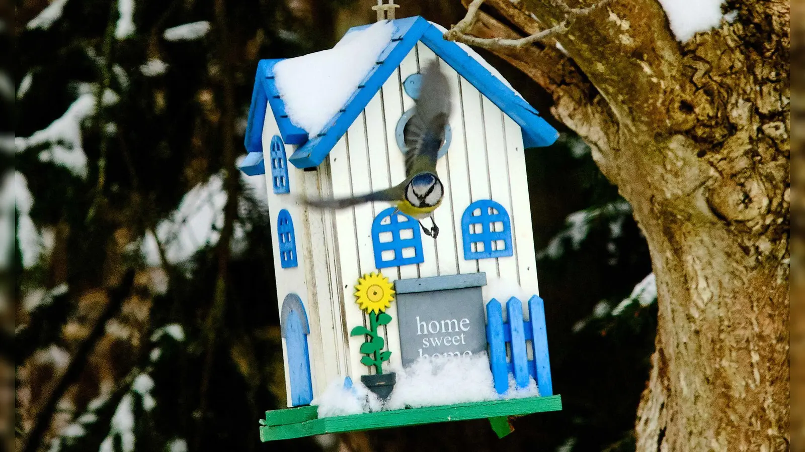 Noch liegt Schnee, aber bald beginnt die Brutzeit – höchste Zeit, um Nistkästen aufzuhängen. (Foto: Stefan Jaitner/dpa/dpa-tmn)