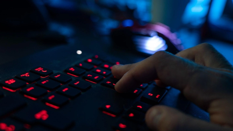 Eine Sicherheitslücke in der Webskriptsprache PHP gefährdet derzeit viele Webseiten. (Symbolbild) (Foto: Nicolas Armer/dpa)