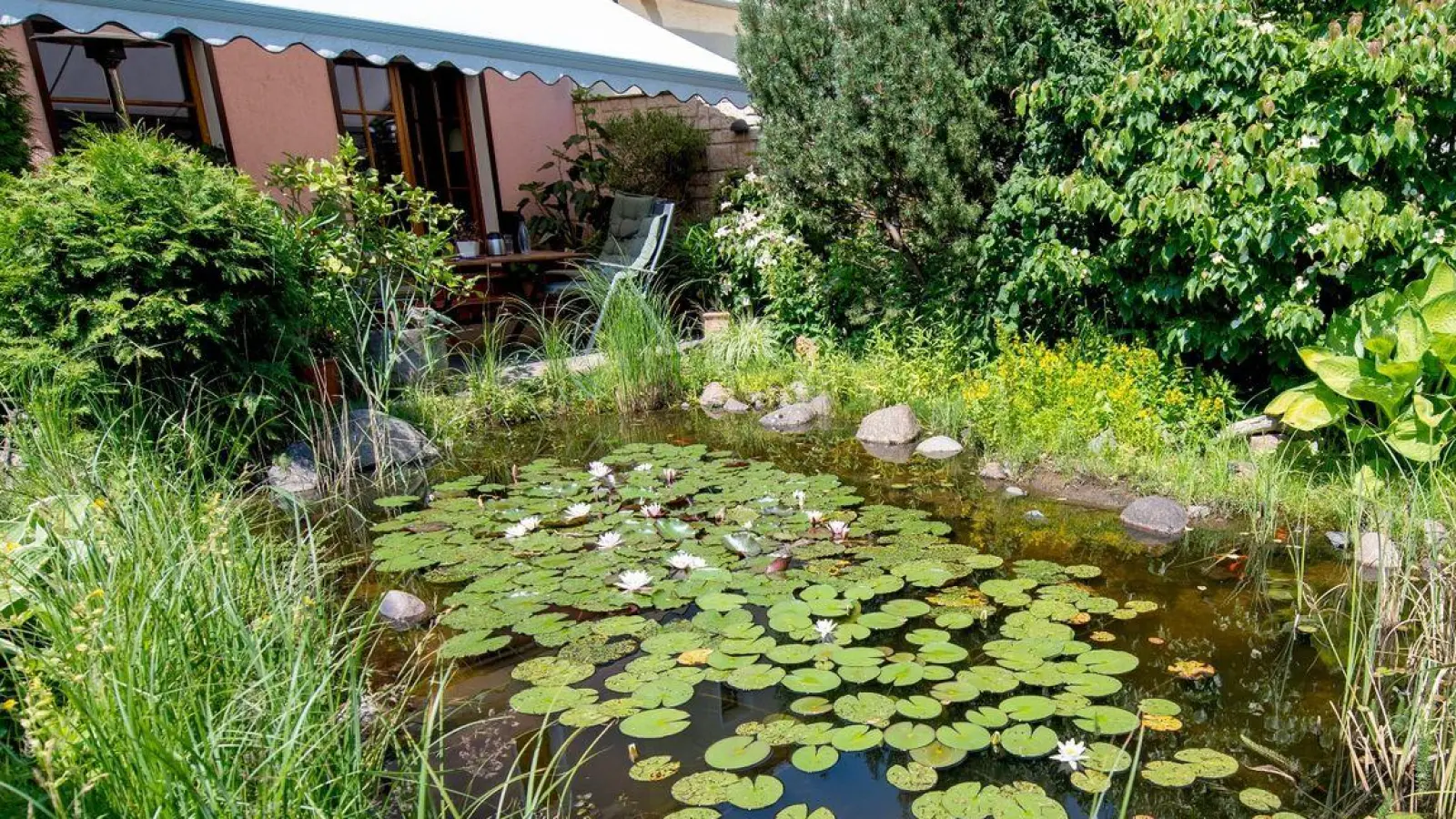 Frösche, Insekten, Vögel: Ein Gartenteich ist ein kleines Biotop für viele Wildtiere. (Foto: Zacharie Scheurer/dpa-tmn/dpa)