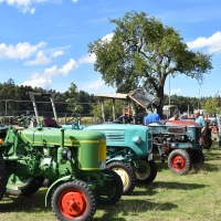 In Reih und Glied: Die Traktor-Klassiker zogen viele Schaulustige an.  (Foto: Erich Herrmann)