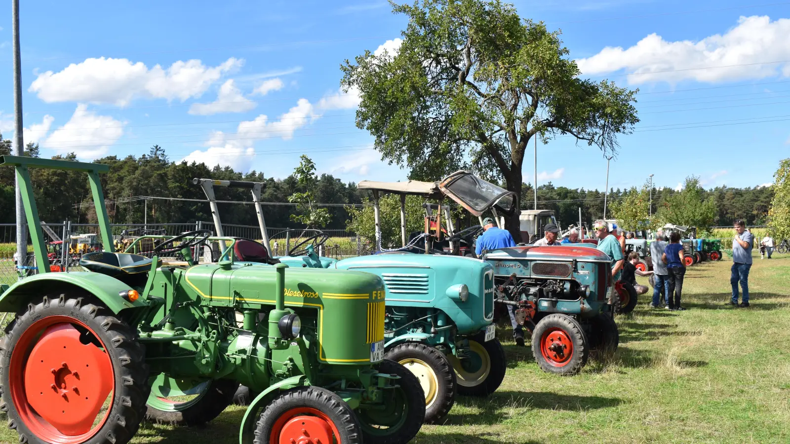 In Reih und Glied: Die Traktor-Klassiker zogen viele Schaulustige an.  (Foto: Erich Herrmann)