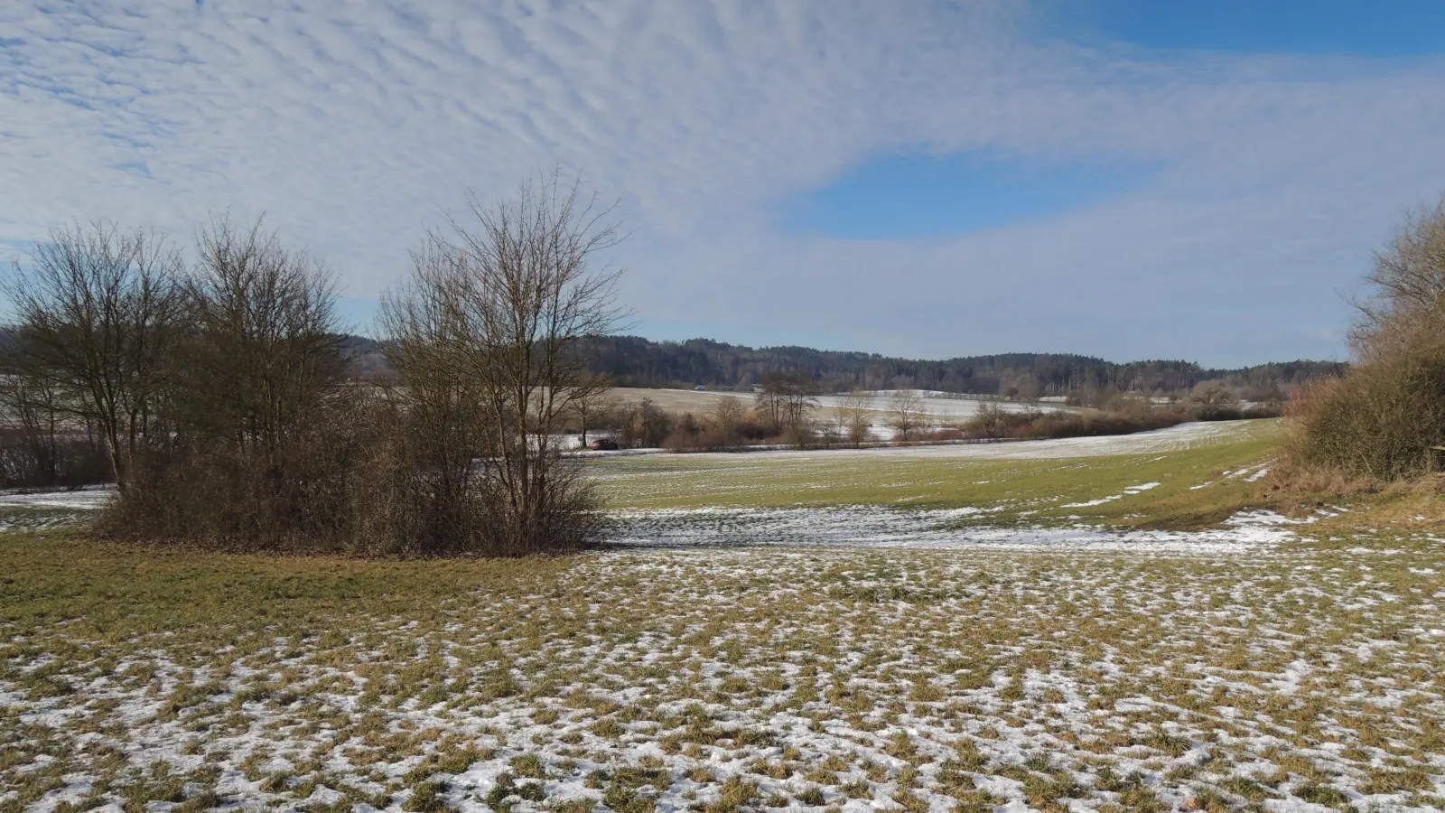 Das Gelände am Stausee bei Dorfgütingen. Die Erschließung für das Meadow-Festival startet im Februar. Bei der vorne links zu sehenden Hecke wird der Boden für die Bühne vorbereitet. Die Wiese dahinter bietet vom 26. bis zum 29. Juni reichlich Platz für die Freunde der harten Klänge. (Foto: Peter Zumach)