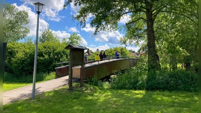 Der Wörnitzsteg an der Dinkelsbühler Schwedenwiese kann derzeit nur halbseitig genutzt werden. Die Planungsleistung für die Sanierung hat der Stadtrat jetzt vergeben. (Foto: Martina Haas)