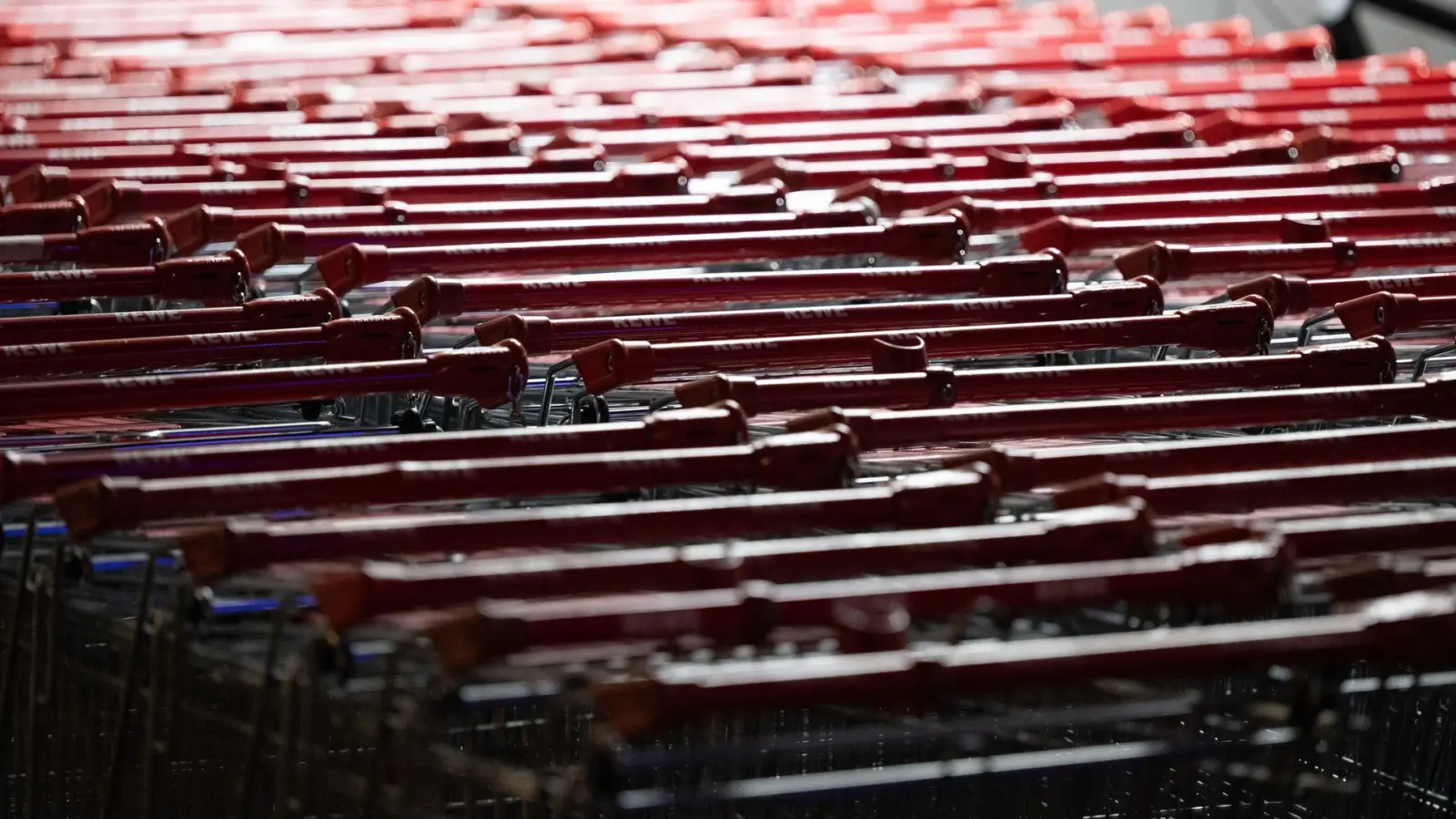 Der Hersteller von Einkaufswagen Wanzl will zwei seiner deutschen Werke schließen. (Symbolbild)  (Foto: Sebastian Kahnert/dpa)