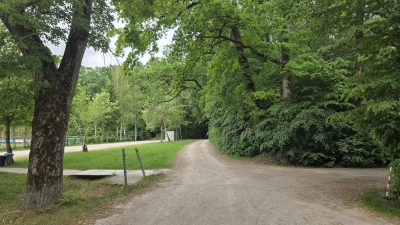 Am Eingang zur Mutschach: In dem Waldstück gab es in früheren Jahren einen Trimm-dich-Pfad. Die Geräte verfielen jedoch und wurden entfernt. Mit Unterstützung durch Leader-Mittel soll nun im kommenden Jahr ein Aktivpfad mit Outdoor-Sportgeräten für Balance, Kraft und Beweglichkeit gebaut werden. (Foto: Markus Weinzierl)