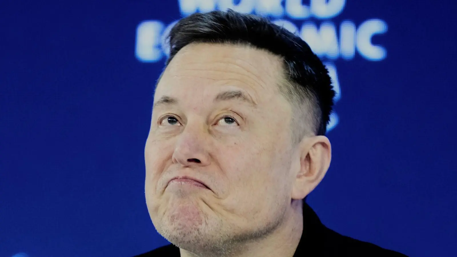 Dem Tech-Milliardär Elon Musk passen die Digitalgesetze der EU nicht. (Archivbild) (Foto: Markus Schreiber/AP/dpa)