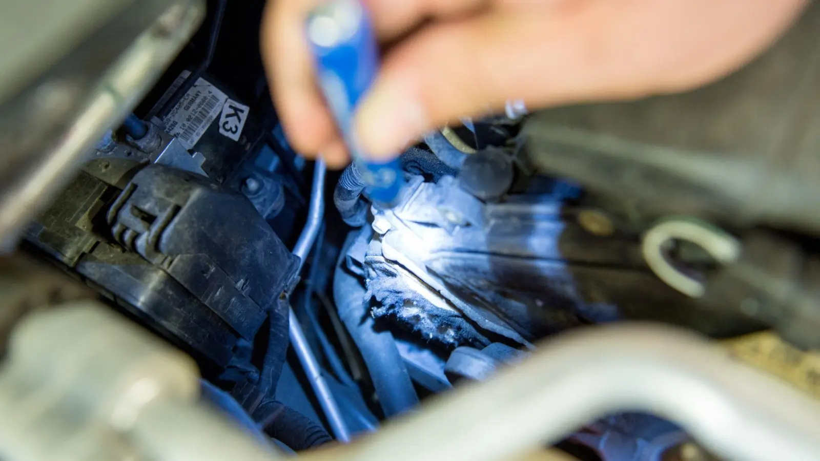 Oft beißen Marder in Kühlschläuche, Zündkabel, Dämmstoffe und Gummidichtungen und verursachen so Schäden im Motorraum. (Foto: Inga Kjer/dpa/dpa-tmn)