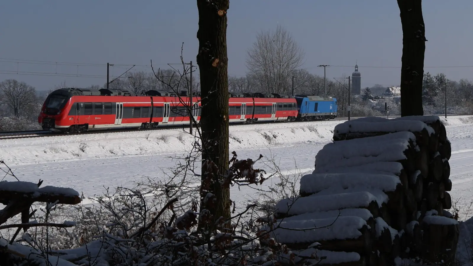 Diese S-Bahn musste evakuiert werden, nachdem sie in der Nacht auf Freitag mit einem umgestürzten Baum kollidiert ist. (Foto: Johannes Hirschlach)