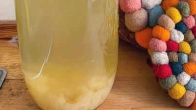 Gesüßtes Wasser, Kefirkristalle und Mangostreifen machen den Wasserkefir zu einem prickelnden Durstlöscher. (Foto: Ricarda Dieckmann/dpa-tmn)