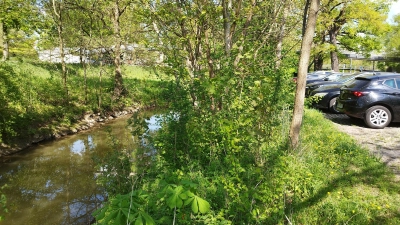 Die Rezatauen zwischen Kasernendamm und Theatersteg sollen umgestaltet werden. Die Stadt will mit einem zufällig zusammengesetzten Bürgerrat die Meinung der Bevölkerung einfließen lassen. (Foto: Robert Maurer)