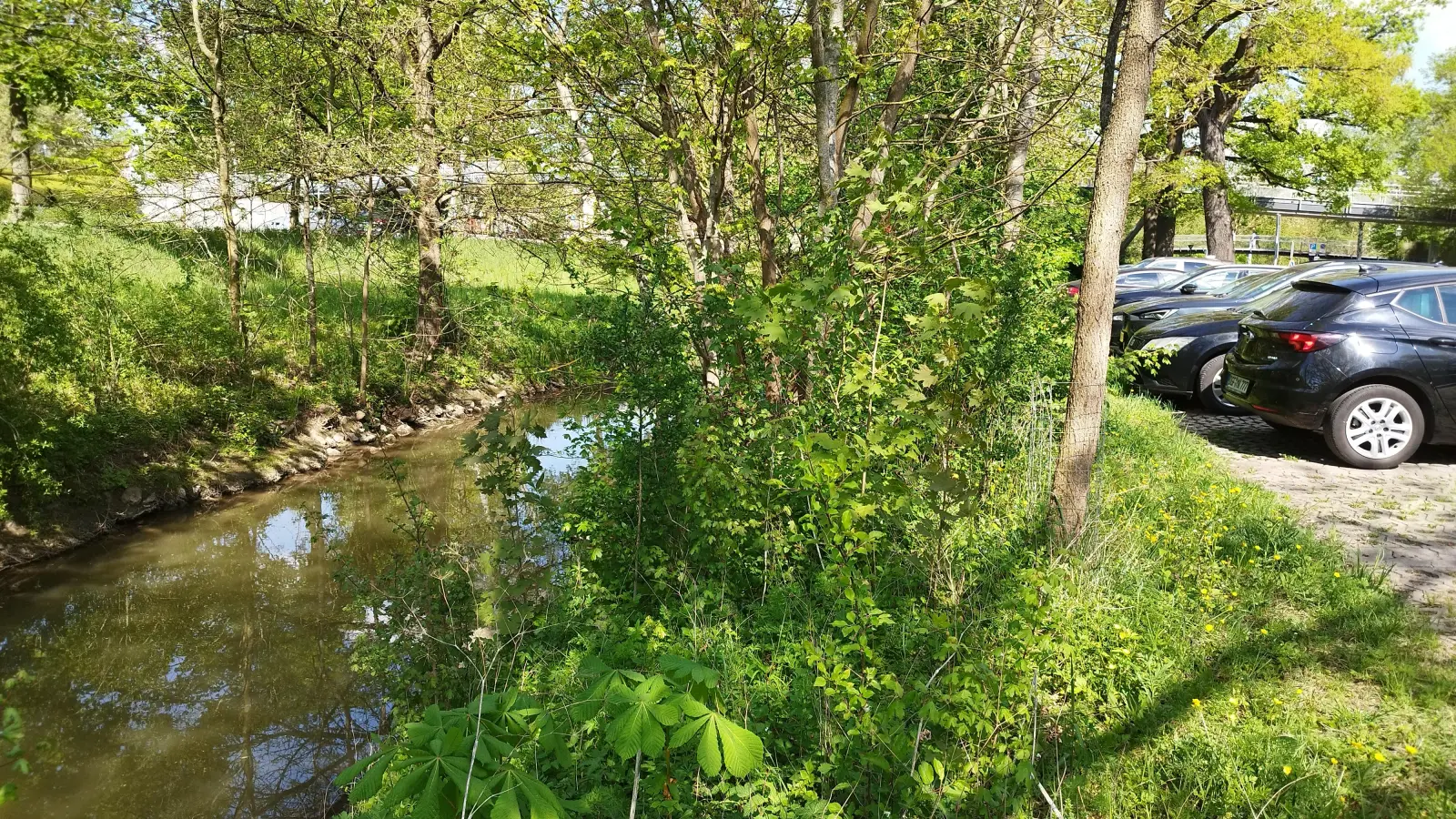 Die Rezatauen zwischen Kasernendamm und Theatersteg sollen umgestaltet werden. Die Stadt will mit einem zufällig zusammengesetzten Bürgerrat die Meinung der Bevölkerung einfließen lassen. (Foto: Robert Maurer)