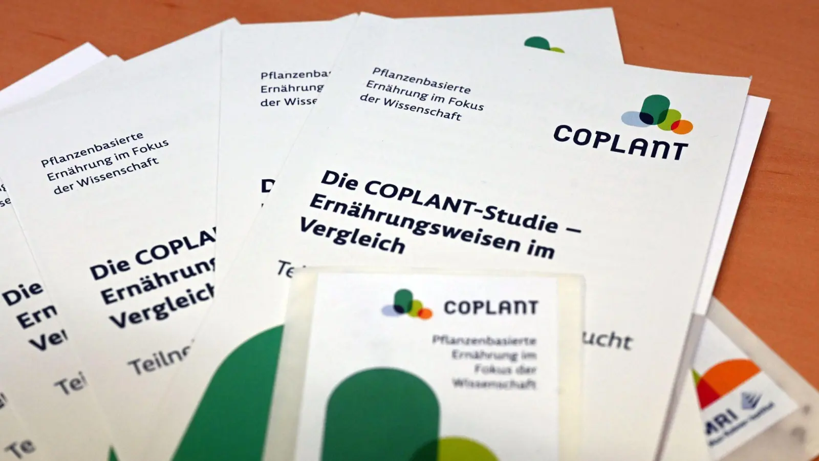 Studie zu pflanzlicher Ernährung bezieht nun auch Kinder ein (Kinder sind am Zug (Archivbild)  (Foto: Uli Deck/dpa)