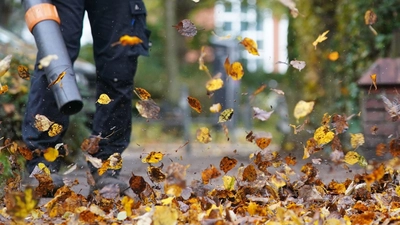 Laub ist ein natürlicher Dünger für den Boden und sorgt für Artenvielfalt im Garten. (Symbolbild) (Foto: Marcus Brandt/dpa)