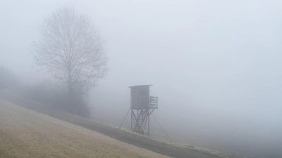 In vielen Teilen Bayerns wird Nebel erwartet.  (Foto: Silas Stein/dpa)
