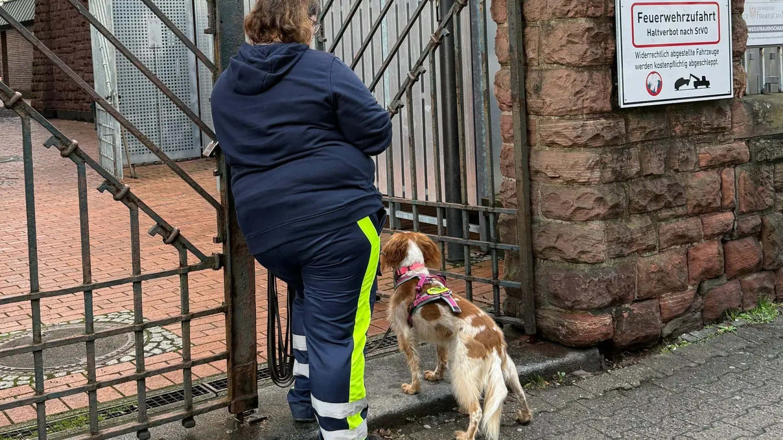 Auch mit Hilfe eines Hundes wurde der Junge gesucht. (Foto: Isabell Scheuplein/dpa)