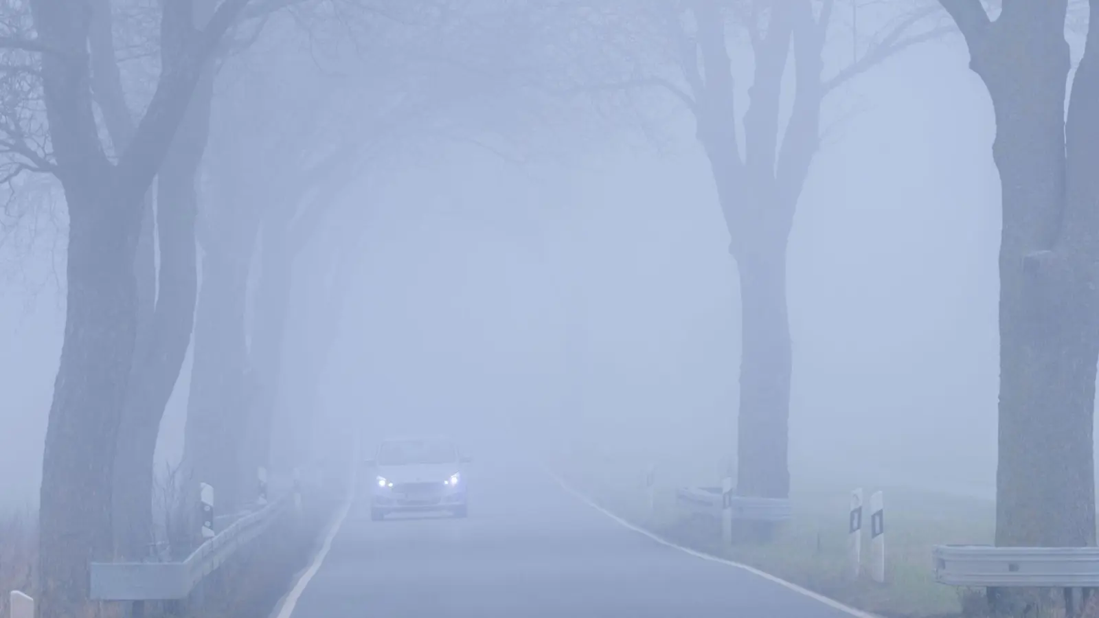 Dichter Nebel sorgte dafür, dass ein Schulbusfahrer die Abzweigung verpasste. (Symbolbild) (Foto: Jens Büttner/dpa)
