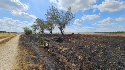 Verkohlten Acker und angesengte Bäume hinterließ das Feuer. (Foto: Wolfgang Grebenhof)