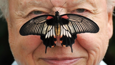 Zu seinem 100. Geburtstag erhielt David Attenborough einen persönlichen Brief von König Charles. (Archivfoto) (Foto: John Stillwell/PA Wire/dpa)