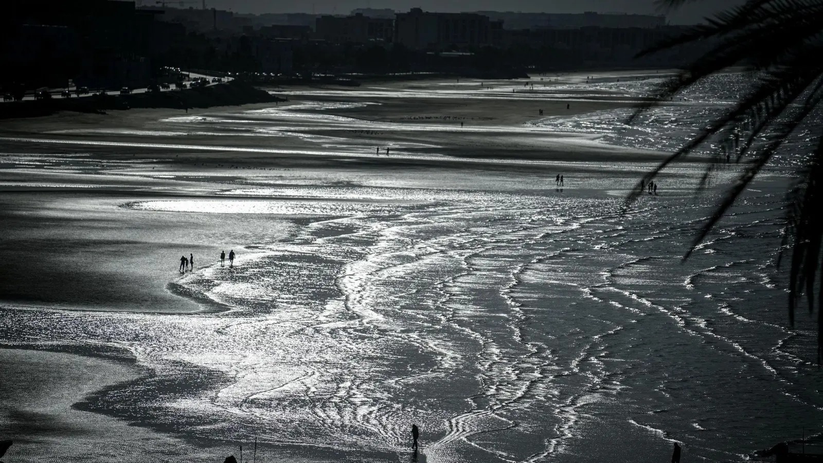 Nach dem Kentern eines Bootes im Oman sind drei französische Touristen gestorben. (Symbolbild) (Foto: Kay Nietfeld/dpa)