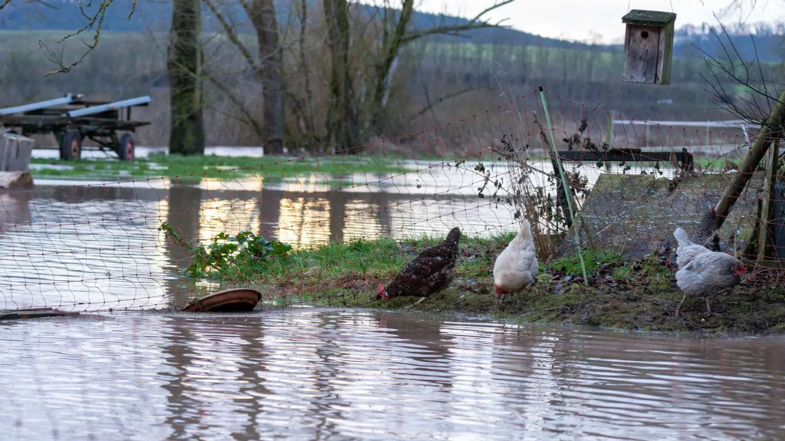 Das Hochwasser geht in Bayern zurück.  (Foto: Pia Bayer/dpa)