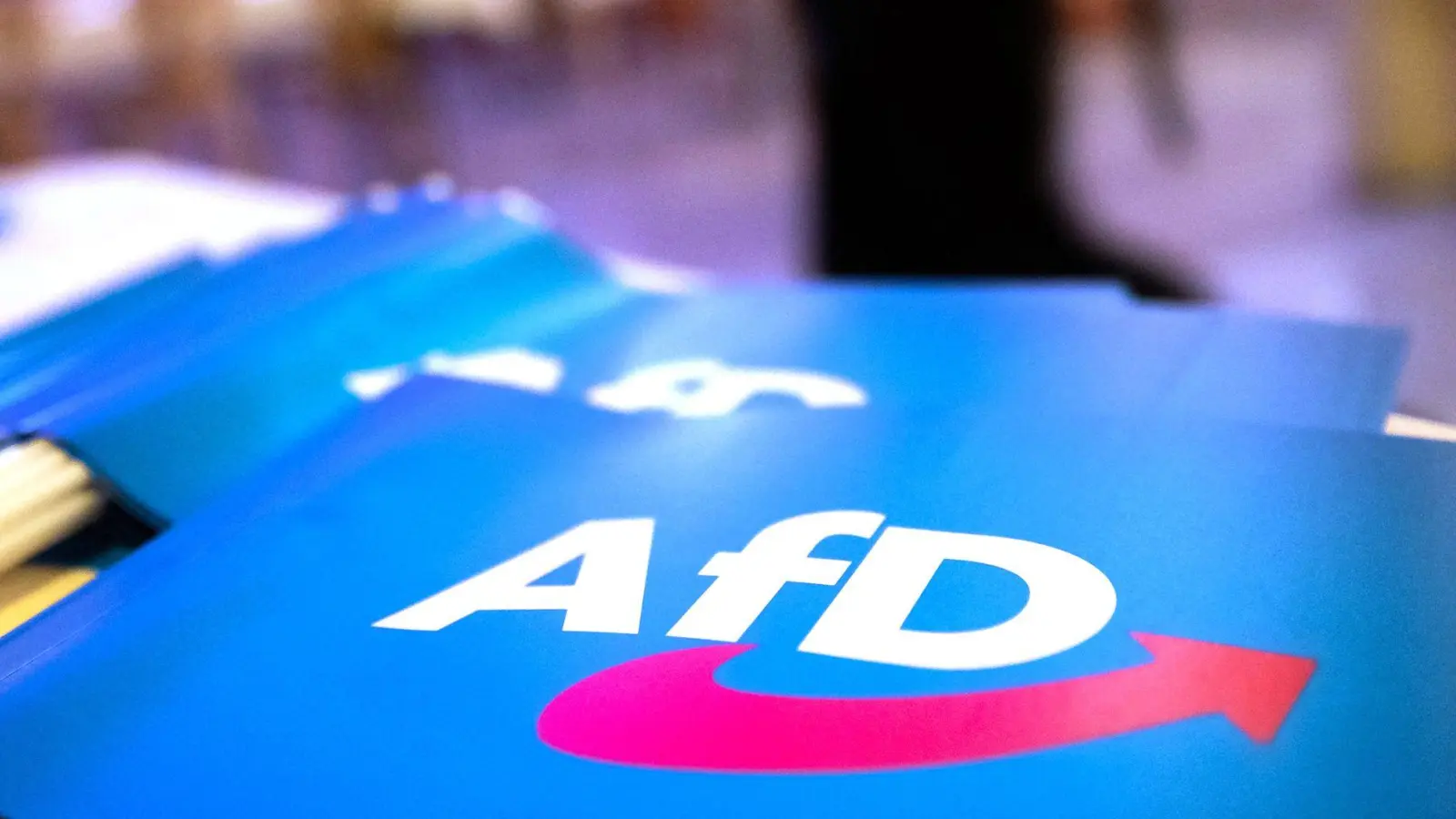 Der AfD-Nachwuchs sortiert sich neu. (Symbolbild) (Foto: Daniel Karmann/dpa)