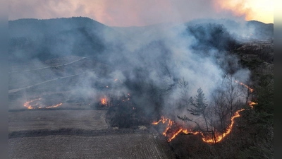 Mindestens vier Menschen sind beim Einsatz gegen Waldbrände in Südkorea ums Leben gekommen. (Foto: Yoon Gwan-shick/Yonhap/AP/dpa)