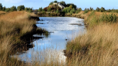 Flaches Land braucht keine hohen Türme: Von dieser Aussichtsplattform in der Esterweger Dose reicht der Blick weit in die Ferne. (Foto: Bernd F. Meier/dpa-tmn)