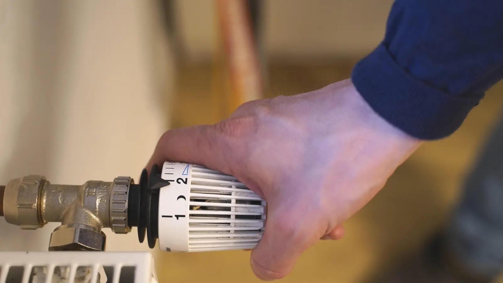 Einfach am Thermostat drehen und schon wird es in der Wohnung angenehm warm. Doch wie lässt es sich möglichst klimafreundlich heizen? (Foto: Simone Hedler)