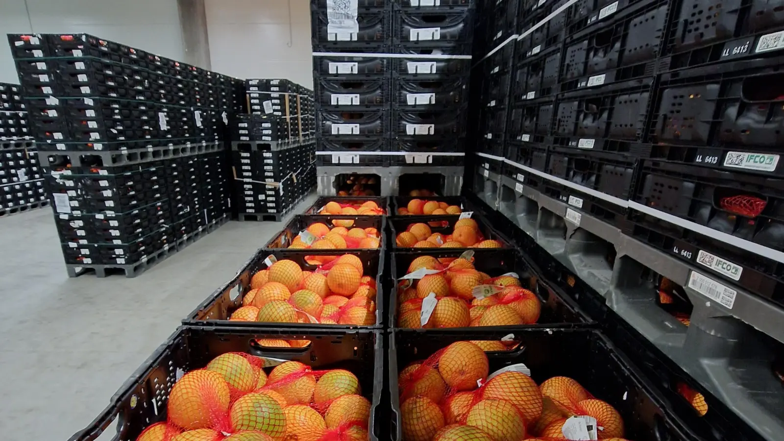 Kisten über Kisten mit Orangen und anderen Früchten türmen sich in der Kühlhalle. (Foto: Andrea Walke)