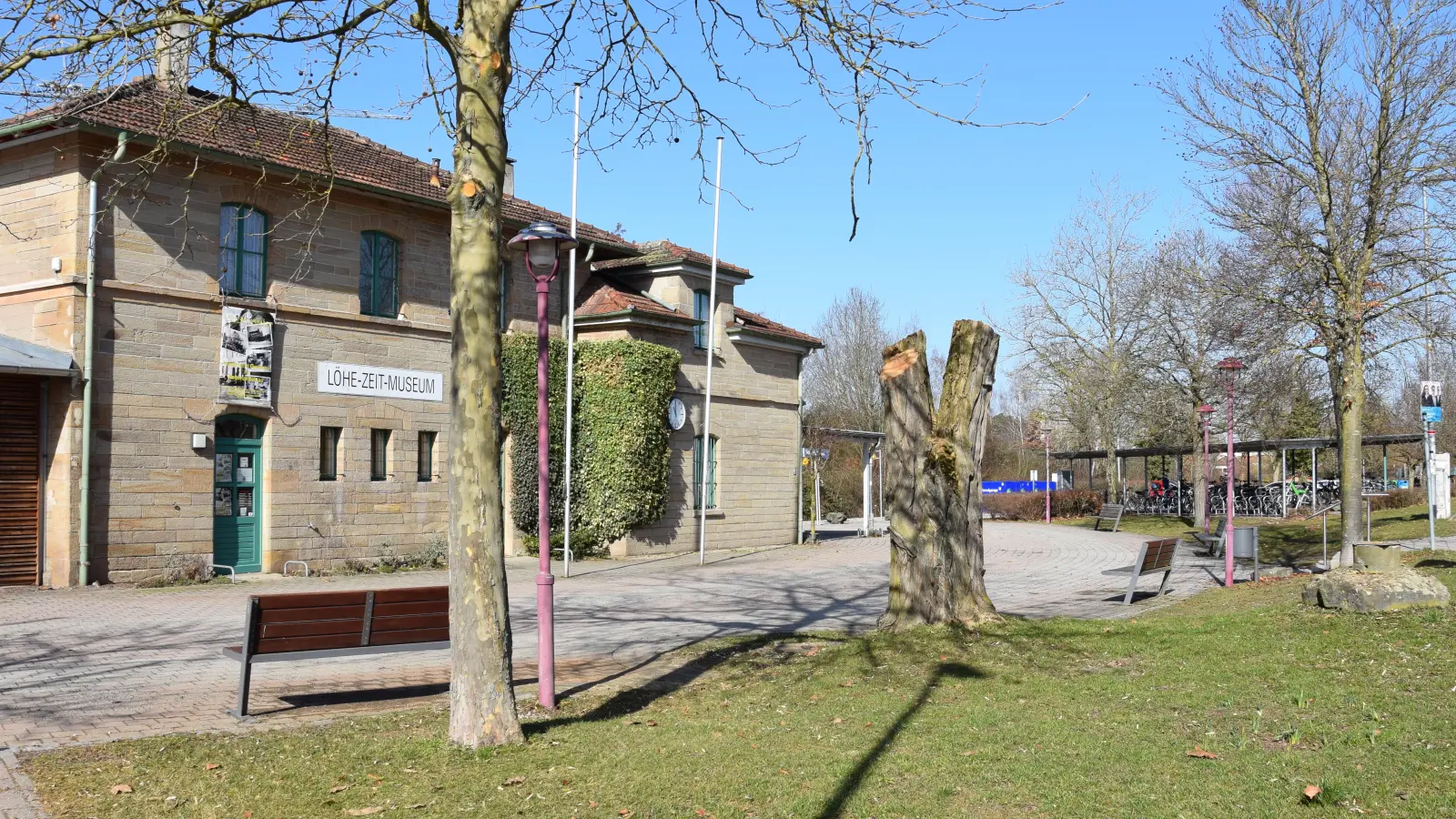Der Baum, der für den Treignac-Platz gepflanzt werden soll, dient gleichzeitig als Ersatz für die Robinie am Bahnhofsvorplatz, die aus Sicherheitsgründen gefällt werden musste. (Foto: Florian Schwab)