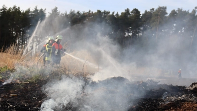 Die Feuerwehr konnte die Flammen auf einem Acker bei Oberickelsheim rasch unter Kontrolle bringen. (Symbolbild: Antonia Müller)