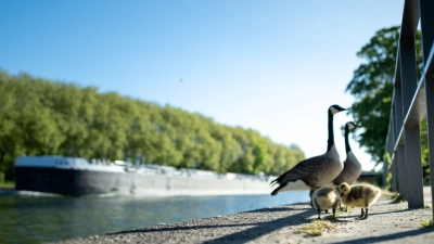 Viel Sonne und Temperaturen über 20 Grad sind in den nächsten Tagen zu erwarten.  (Foto: Fabian Strauch/dpa)