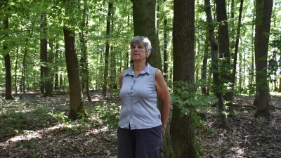 Den Wald bewusst wahrnehmen: Die Ansbacherin Sigrid Strobel hat einen Waldbaden-Kurs belegt und dabei Achtsamkeitsübungen gelernt, die sie nun auch anderen beibringt. (Foto: Silvia Schäfer)
