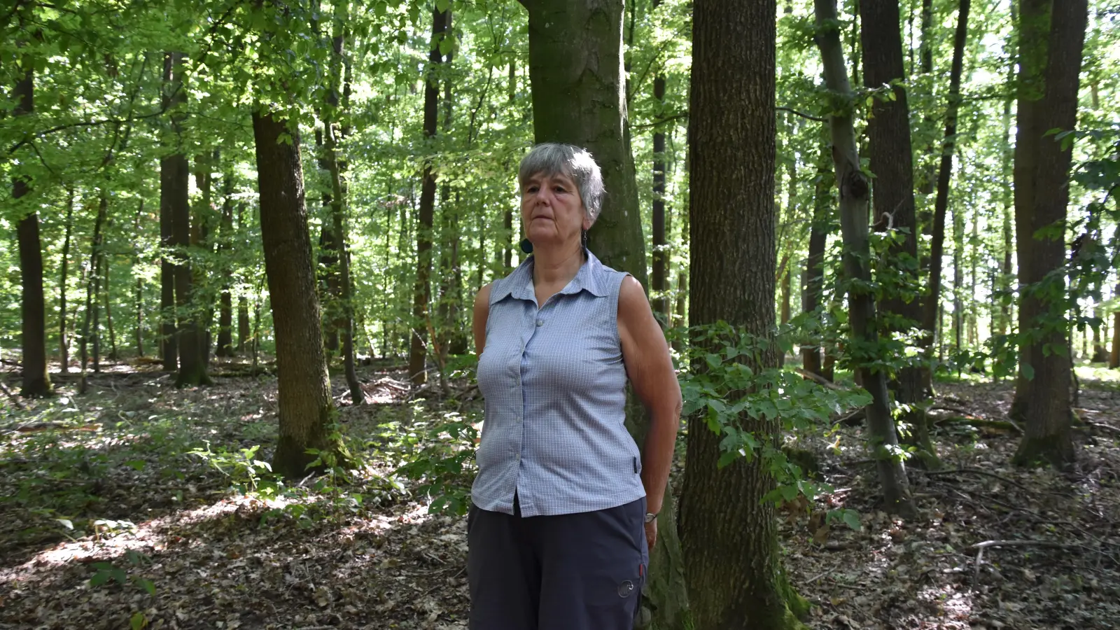 Den Wald bewusst wahrnehmen: Die Ansbacherin Sigrid Strobel hat einen Waldbaden-Kurs belegt und dabei Achtsamkeitsübungen gelernt, die sie nun auch anderen beibringt. (Foto: Silvia Schäfer)
