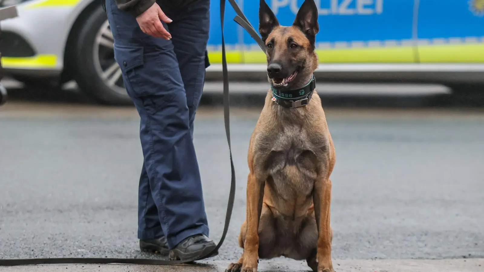 Wegen des Umfangs und der Art der Ladung wurde das Auto bei einer Dienststelle detailliert kontrolliert und mit einem Diensthund durchsucht. (Symbolbild) (Foto: Jan Woitas/dpa)