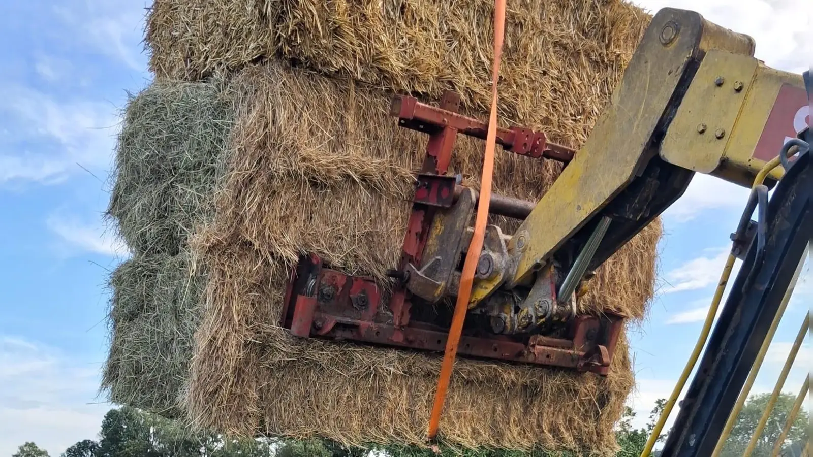 Großballen bis aus Thüringen hat ein Pferdehalter aus Mitteldachstetten kommen lassen, um seine Tiere versorgen zu können. (Foto: Fritz Arnold)