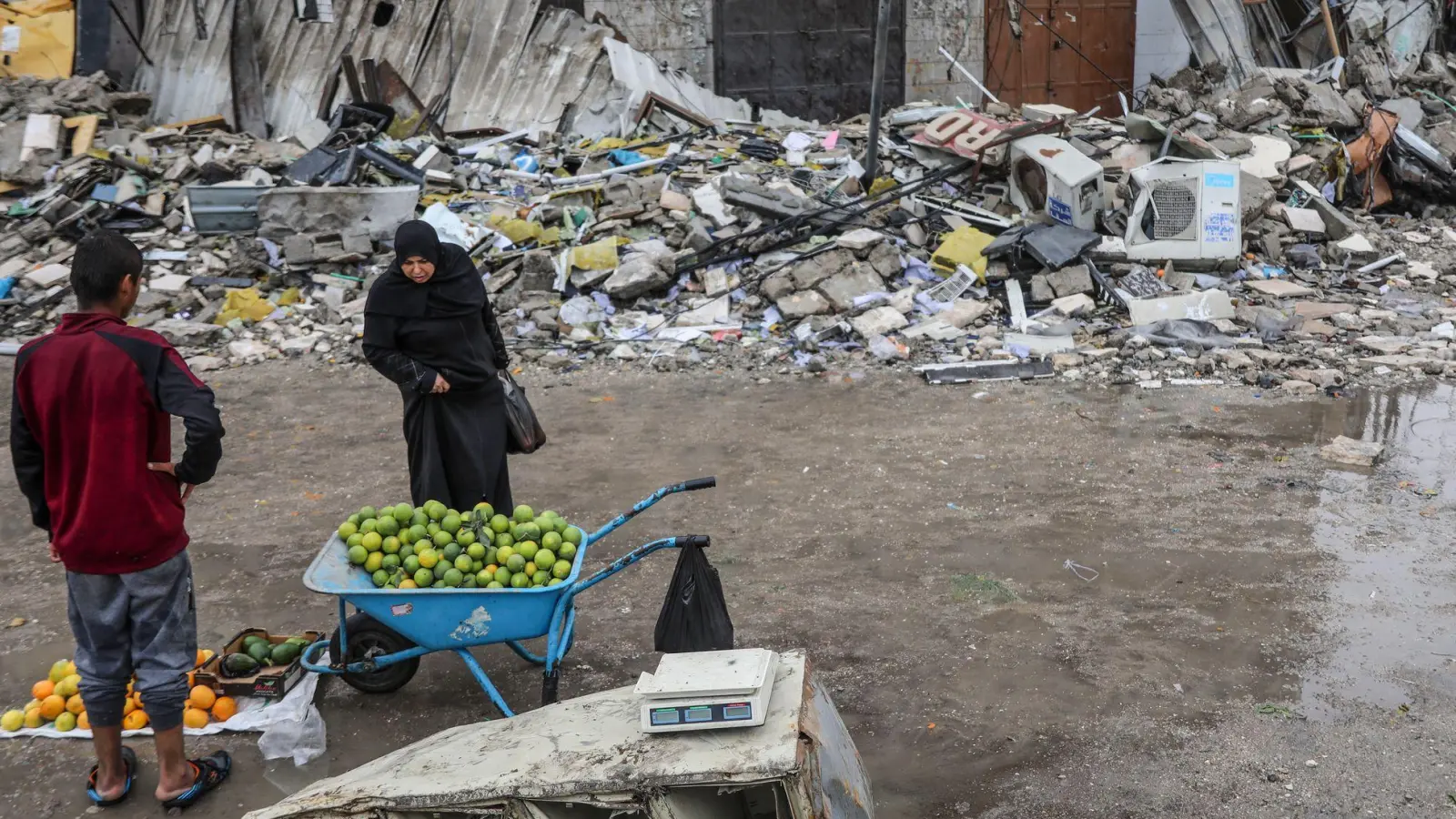 Bis zu 96 Prozent des Landwirtschaftssektors ist im Gazastreifen zerstört (Archivbild) (Foto: Mohammed Hajjar/AP/dpa)