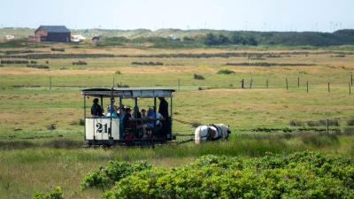 Das Pferd Tamme zieht die Spiekerooger Pferdebahn über die ostfriesische Insel. Durch eine Streckenverlängerung will die Nordseeinsel Spiekeroog ihre traditionsreiche Pferdebahn langfristig erhalten. (Foto: Sina Schuldt/dpa/dpa-tmn)