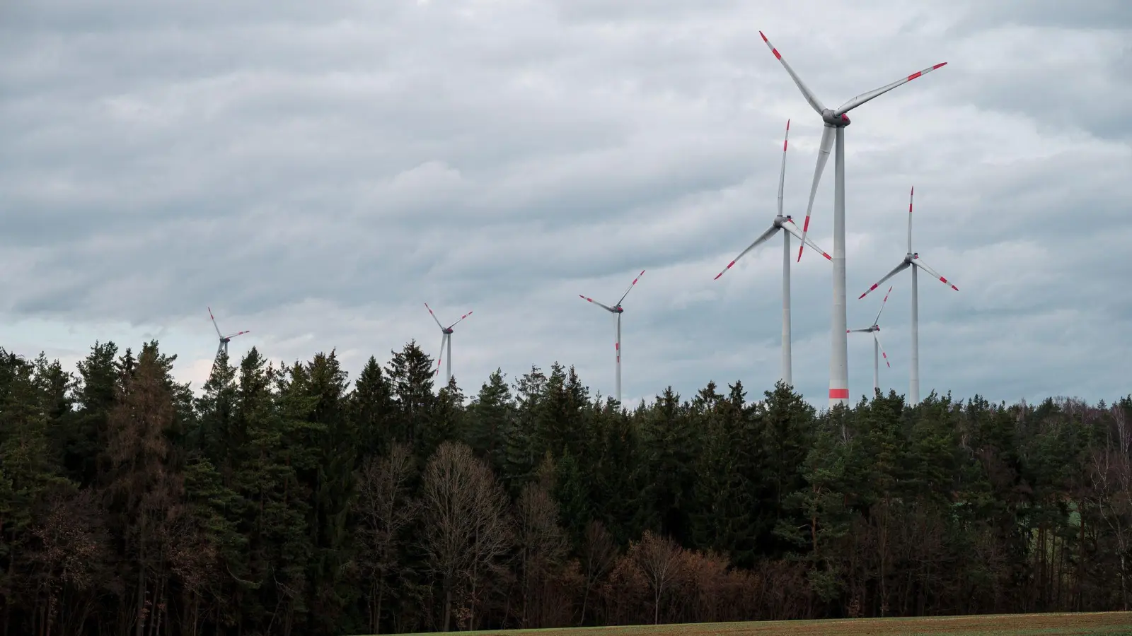 Windräder ragen aus dem Wald - manche sehen darin eine Verschandelung der Natur. (Archivfoto)   (Foto: Daniel Vogl/dpa)