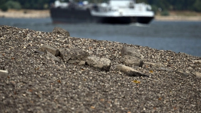 Wegen der niedrigen Pegelstände können Güter auf den Wasserstraßen nur eingeschränkt transportiert werden. (Archivbild) (Foto: Federico Gambarini/dpa)