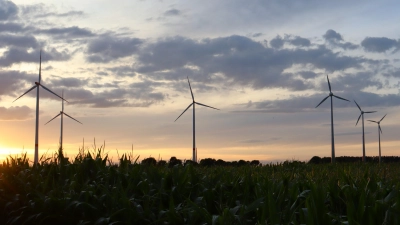 Die drei kleineren Windräder (rechts) sollen nun durch größere Anlagen ausgetauscht werden. (Foto: Antonia Müller)