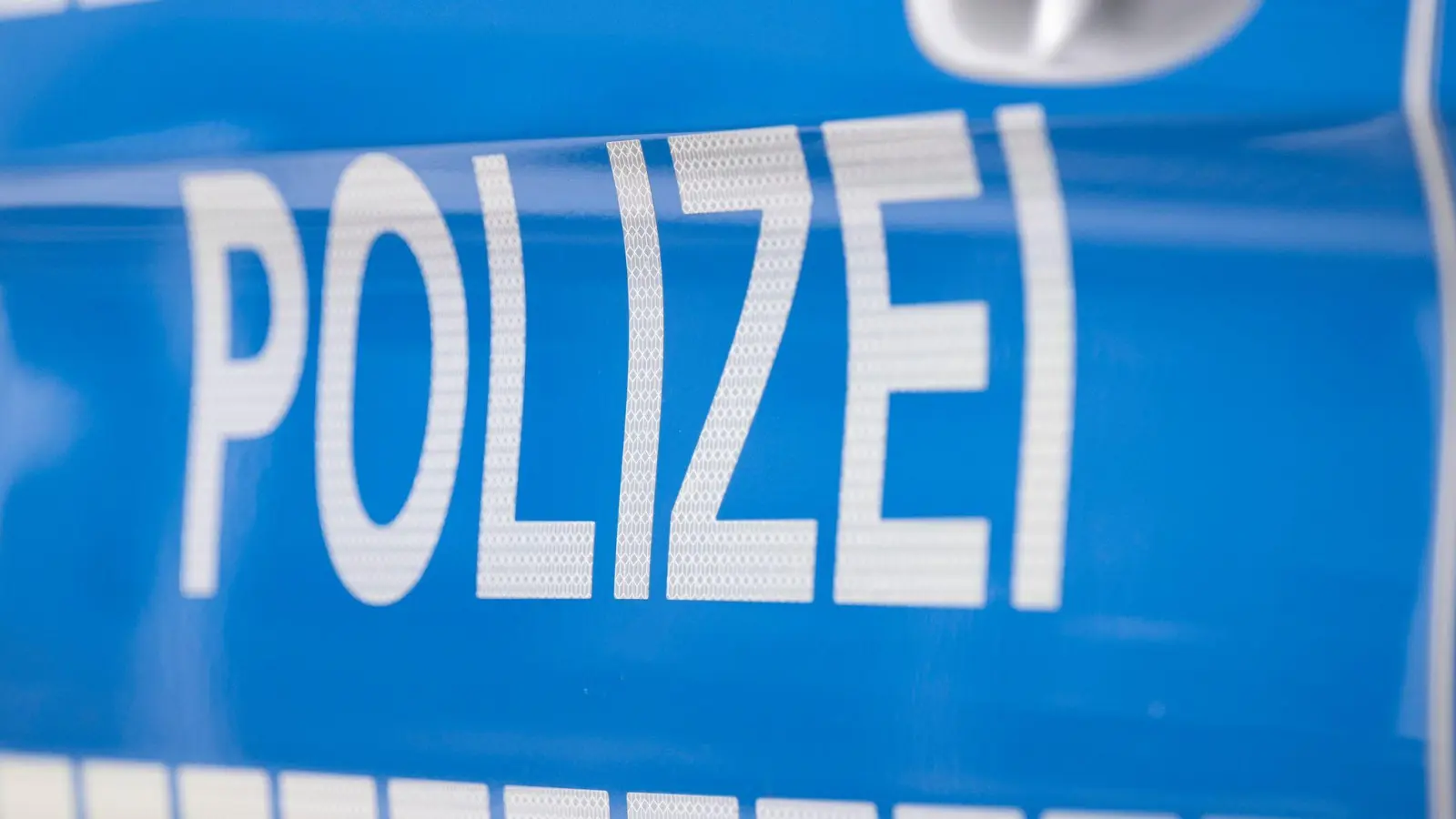 Die Polizei schätzt den Schaden auf 110.000 Euro. (Symbolbild) (Foto: Boris Roessler/dpa)