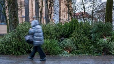 Manche Baum-Fans schmeißen ihre Bäume einfach auf die Straße (Archivbild). (Foto: Peter Kneffel/dpa)