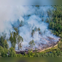 Mehr als 200 Einsatzkräfte haben zusammen mit Landwirten gegen den Waldbrand gekämpft. (Foto: Ferdinand Merzbach/NEWS5/dpa)
