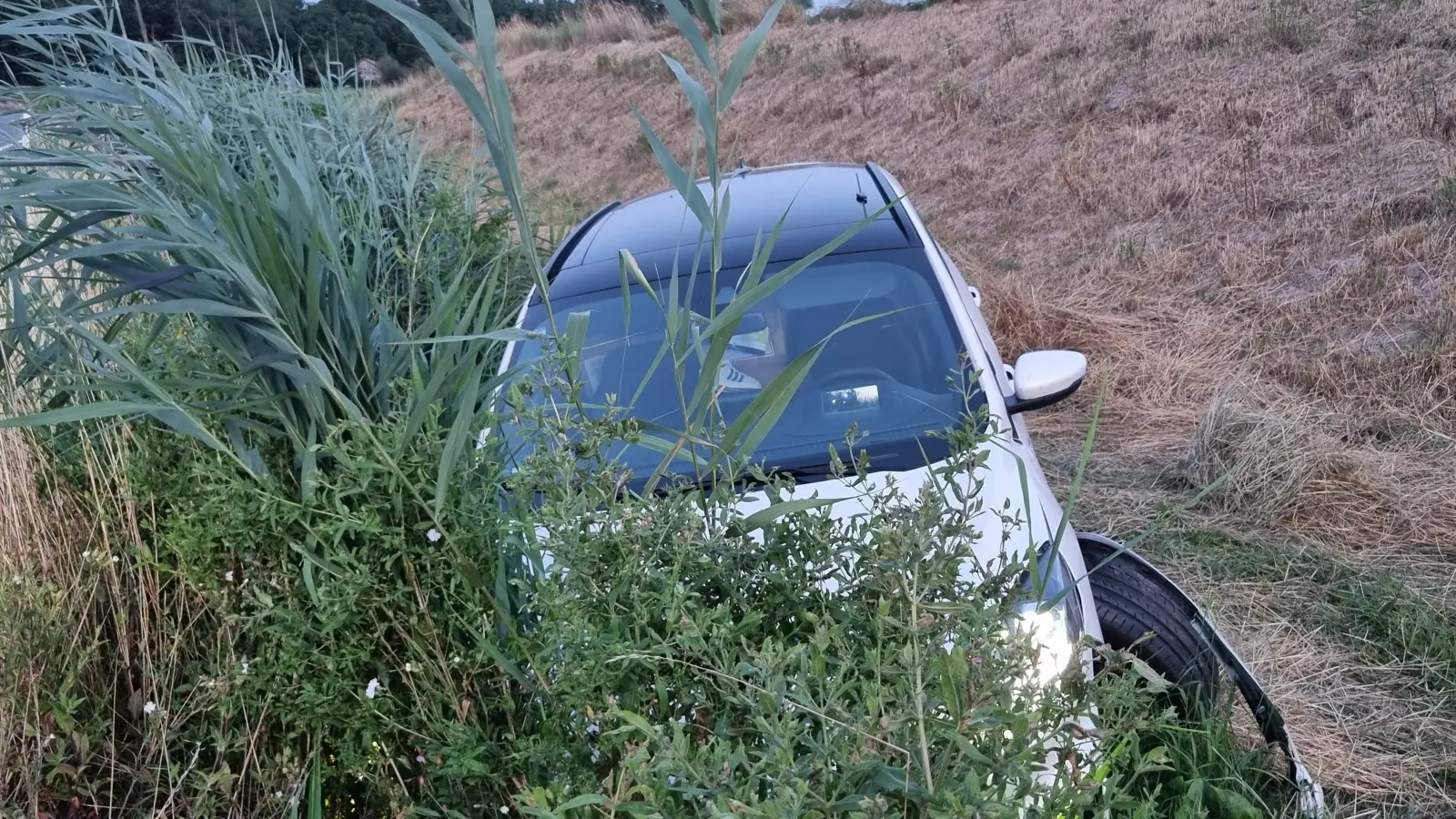 Im Gestrüpp des Straßengrabens landete dieser Kleinwagen nach einem Unfall bei Gerhardshofen. (Foto: Patrick Lauer)