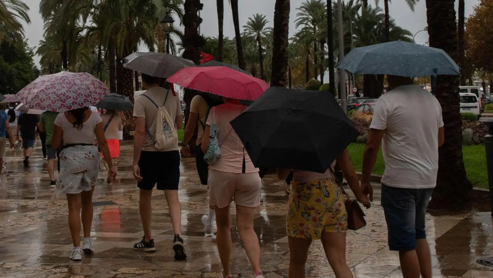 Kein Urlaubswetter auf Mallorca. (Foto: Clara Margais/dpa)