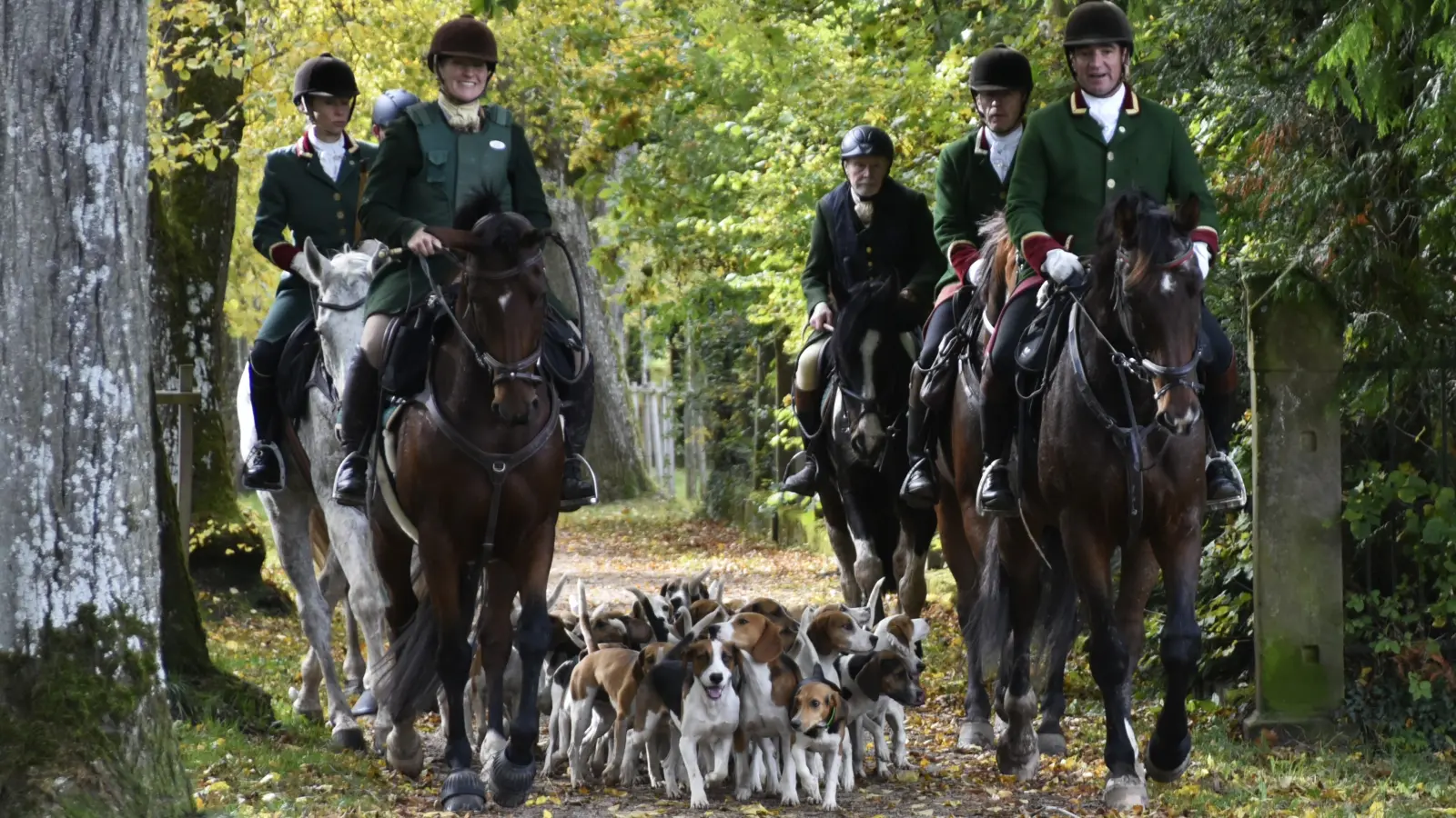 Die Strecke führte zunächst durch den frühherbstlichen Kardinalsgarten. Das Foto zeigt die Equipage mit der aus Beagles bestehenden Hundemeute. (Foto: Doris Frank-Schneider)