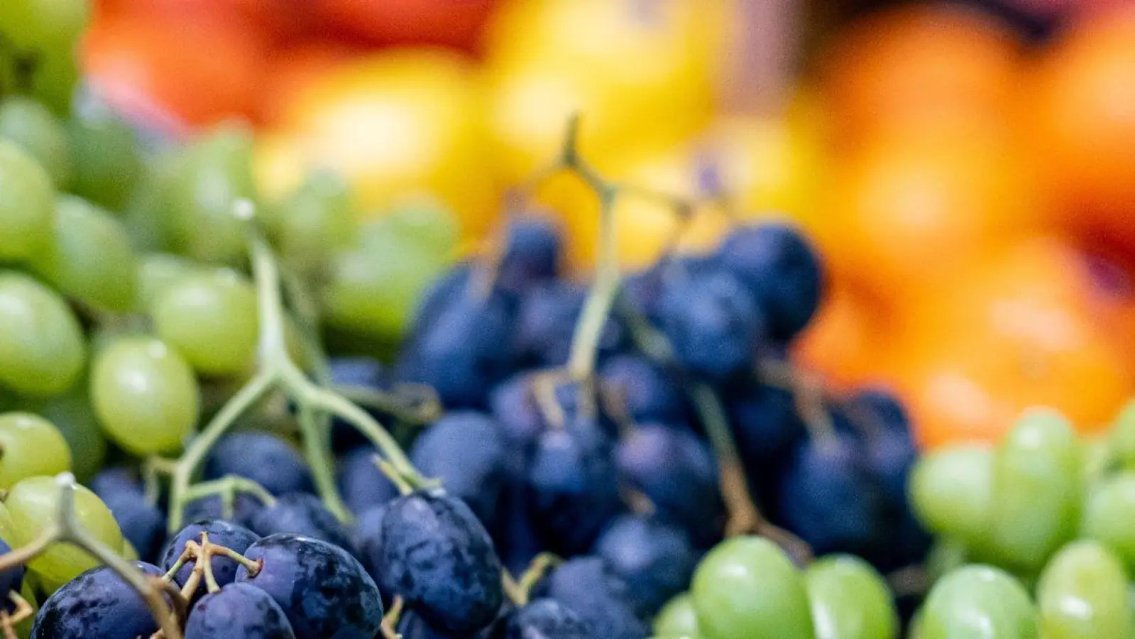 Laut einem Statistik-Handbuch zur Fruit Logistica wurden im vergangenen Jahr in Deutschland 5,2 Millionen Tonnen Obst und Gemüse geerntet. (Foto: Fabian Sommer/dpa)