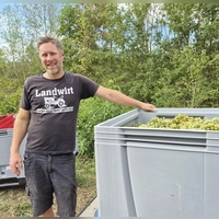 Stephan Krämer bewirtschaftet rund vier Hektar Rebfläche. Dort wachsen unterschiedliche Sorten. (Foto: Margit Schwandt)