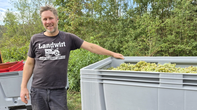 Stephan Krämer bewirtschaftet rund vier Hektar Rebfläche. Dort wachsen unterschiedliche Sorten. (Foto: Margit Schwandt)